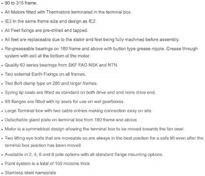 Teco Cast Iron Motor Specs